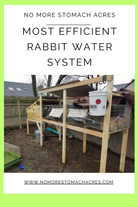 Honest review of rabbit watering systems. Everything from bottles to pump driven systems. Make your rabbit water system the most useful and time efficient. Automatic Rabbit Watering System, Diy Rabbit Watering System, Rabbit Watering System, Rabbitry Setup, Rabbit Waterer, Pet Diys, Drip Watering System, Rabbit Water Bottle, Raising Rabbits For Meat