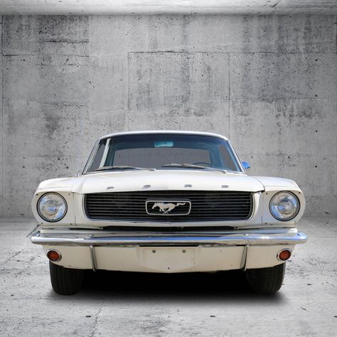 Car References, Ford Mustang 1969, Mustang 1966, Mustang Classic, Ford Mustang Classic, 1965 Mustang, 1966 Ford Mustang, Mustang Fastback, American Classic Cars