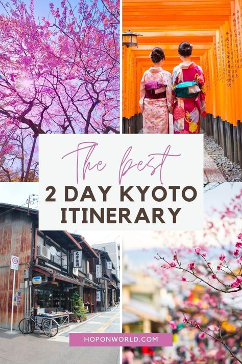 Planning a visit to Kyoto soon? Follow my detailed Kyoto 2 day itinerary to discover all of Kyoto's best gems. You'll also get tons of tips and tricks on when to visit Kyoto, where to stay and how to extend your stay should you have 2 days or more in Kyoto. Kyoto Travel Tips | Where to Stay in Kyoto | What to do in Kyoto | How to get to Kyoto | How to get around Kyoto | When to Visit Kyoto #kyotojapan #2dayitinerarykyoto #kyotoitinerary #thingstodokyoto #bestthingstodokyoto #kyototravelguide Where To Stay Kyoto, What To Do In Kyoto Japan, Kyoto Itinerary 1 Day, Kyoto Must See, Must Do In Kyoto, Where To Stay In Kyoto Japan, Kyoto Japan Itinerary, Kyoto 2 Days Itinerary, What To Do In Kyoto