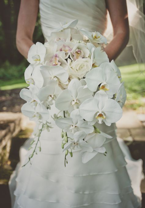 Rose And Orchid Bouquet, Forrest Weddings, Orchids And Roses, White Orchid Bouquet, Orchid Bridal Bouquets, Classic Wedding Flowers, Orchid Bouquet Wedding, Elegant Wedding Bouquets, Cascading Wedding Bouquets