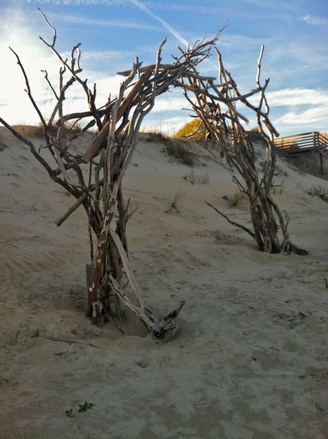 Driftwood arch Wedding Archways, Driftwood Fence, Driftwood Wedding Arches, Driftwood Arch, Driftwood Wedding, Zanzibar Beaches, Wedding Archway, Wedding Arbor, Holy Matrimony