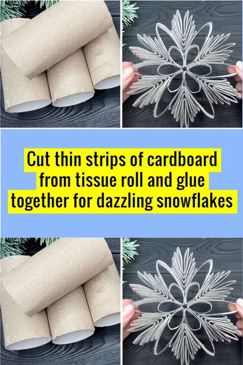 Cardboard Snowflakes, Simple Snowflake, Toilet Paper Crafts, Silly Puppets, Winter Ornaments, Amazing Funny Facts, Wow Facts, Paper Rolls, Toilet Paper Roll