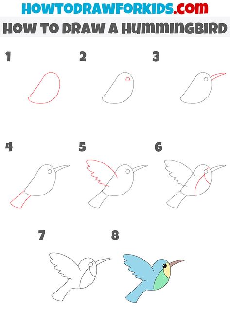 Easy To Draw Hummingbird, Step By Step Hummingbird Drawing, How To Draw A Hummingbird Easy, How To Draw Hummingbird, Hummingbird Drawing Simple Step By Step, Bird Drawings Easy Step By Step, How To Draw A Hummingbird, Cute Hummingbird Drawing, How To Draw Birds Easy