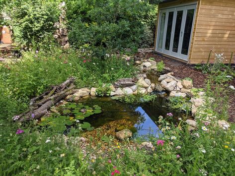 Wild by Design Landscapes Lower Sunbury Wildlife Pond | Mini Wildlife Pond, Small Wildlife Pond, Garden Redesign, Wildlife Pond, Pond Landscaping, Wild Garden, Wildlife Gardening, Pollinator Garden, Garden Pond