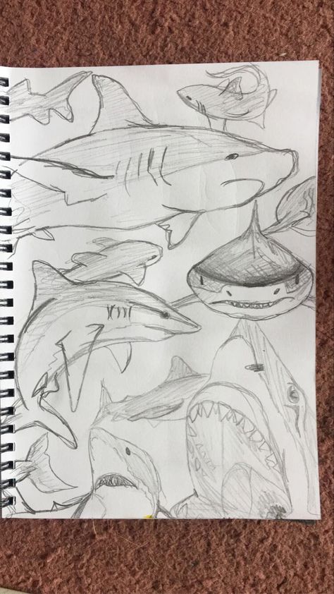 shark sketches, pencil, shading, drawing, shark, angles Shark Eyes Drawing, Sharks Drawing Cute, Space Themed Sketches, Shark Sketchbook Page, Quick Sketchbook Ideas, Sharks To Draw, Sea Sketch Pencil, Whale Shark Drawing Sketches, Sketch Book Ideas Pencil