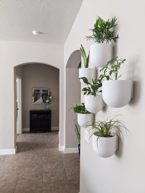 Indoor Plant Wall - Modern Boho Planter Pots - The DIY Lighthouse Wall Plants Indoor, Wall Plant Holder, Ceramic Wall Planters, Indoor Plant Wall, Wall Planters Indoor, Plant Wall Decor, Hanging Plant Wall, Rooms Ideas, Plant Decor Indoor