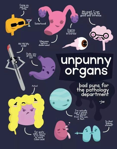 Unpunny organs Anatomy Jokes, Science Humor Biology, Nerd Puns, Brain Puns, Cute Anatomy, Anatomy Puns, Heart And Brain Comic, Anatomy Humor, Medical Puns