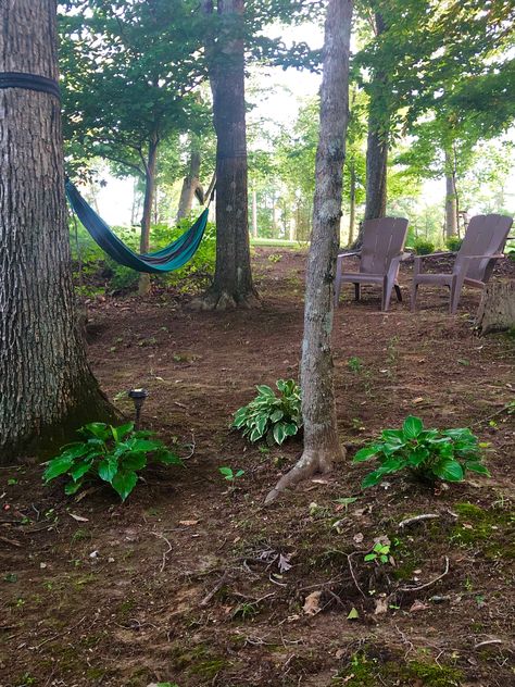 Rustic sitting area in our backyard Woodsy Outdoor Sitting Area, Sitting Area In Woods, Forest Sitting Area, Forest Seating Area, Tree Sitting Area, Woodsy Backyard Ideas, Farmhouse Property, Wooded Backyard Landscape, Outdoor Fire Pit Area