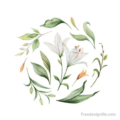 Spring Wedding Decor, Spring Wedding Decorations, Lily Flowers, Watercolor Bouquet, Desenho Tattoo, Wedding Suite, Flower Clipart, Watercolor Flower, Flower Illustration