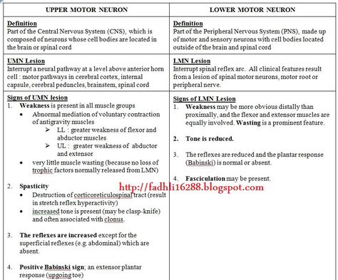 upper motor neuron vs lower motor neuron ~ medik-ukm Upper Motor Neuron, Snf Slp, Neuro Nursing, Nbcot Exam, Pt School, Physical Therapy School, Neurological System, Physical Therapist Assistant, Physical Therapy Assistant