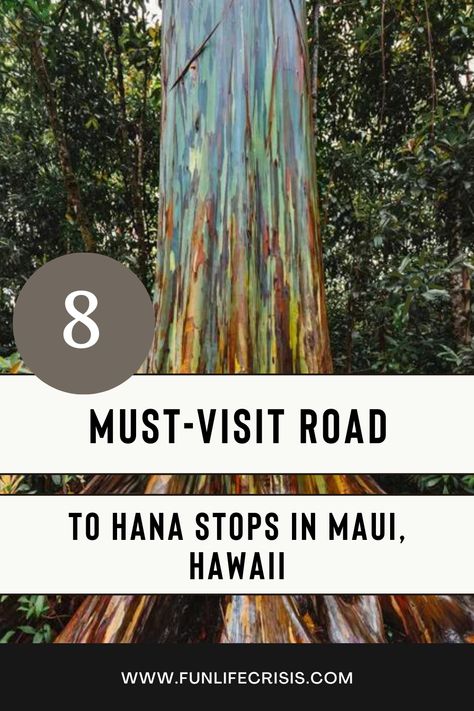 Road To Hana Stops, Hana Highway, Maui Island, Maui Travel, Road Trip Routes, Road To Hana, Hawaii Trip, Life Crisis, Fun Life