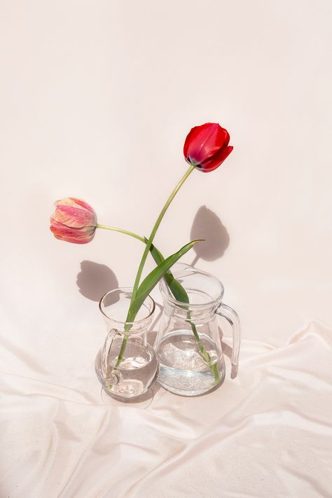 Still life photography two flowers representing lovers hugging by Katarina Ili #still life # content # product photography # stocksy # license # Foto Still Life, Flower Film, Flower Props, Life Drawing Reference, Two Flowers, Still Life Images, Still Life Flowers, Still Life Photos, Floral Drawing