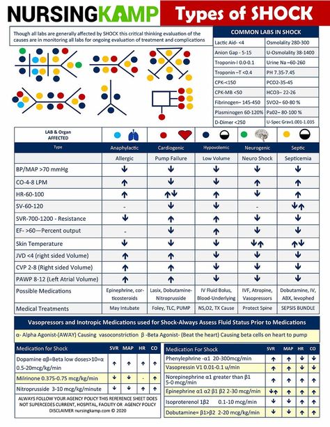 Endocrine Pharmacology, Nursing Planner, Nurse Education, Study Sheet, Types Of Shock, Nurse Notes, Medical Life, Body Facts, Nursing School Essential