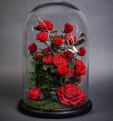 Real Beauty And The Beast Roses Exist, And They'll Last For 3 Years Beauty And Beast Rose, Small Arrangements, Rose London, Fleur Design, Artificial Orchids, Valentines Roses, Enchanted Rose, Forever Rose, Flowers Bouquet Gift