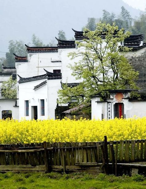 Chinese Courtyard, Ancient Chinese Architecture, Chinese House, China Culture, China Architecture, What A Beautiful World, Chinese Landscape, Chinese Architecture, Round The World