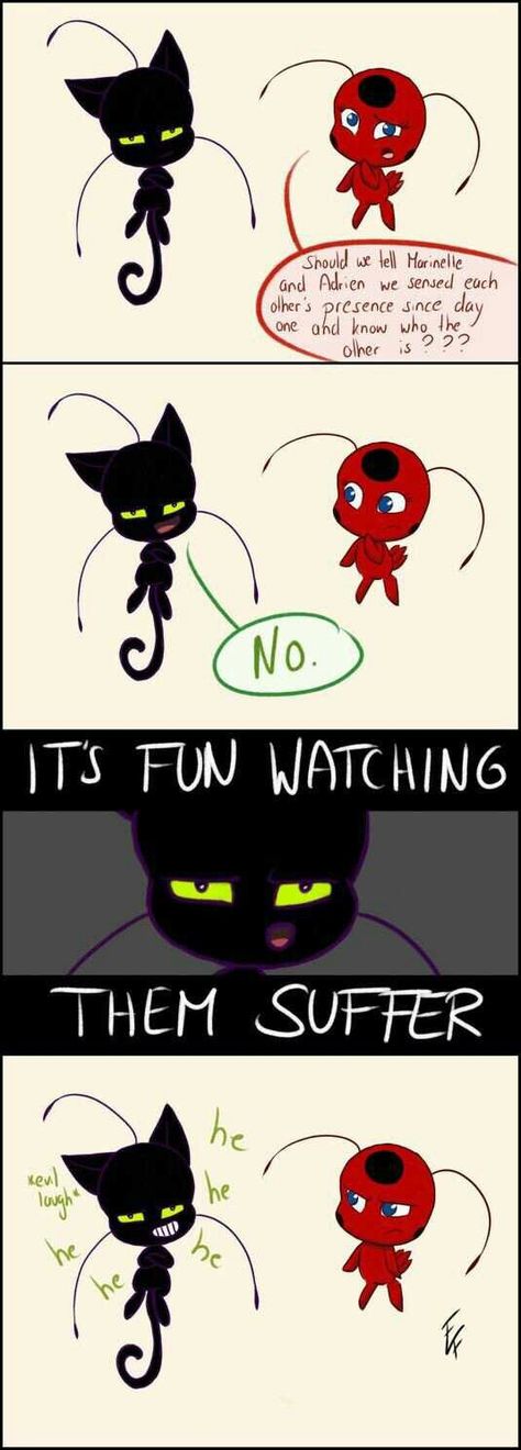 Tikki And Plagg, Comics Ladybug, Ladybug Und Cat Noir, Tikki Y Plagg, Ladybug And Cat Noir, Miraculous Ladybug Memes, Film Anime, Miraculous Ladybug Fanfiction, Ladybug Anime