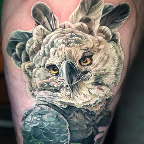 #Tattoos,Harpy Eagle Tattoo Harpy Eagle Tattoo, Harpy Tattoo, Eagle Tattoo Ideas, Eagle Chest Tattoo, Bald Eagle Tattoos, Detailed Sketches, Traditional Eagle Tattoo, Harpy Eagle, Army Tattoos