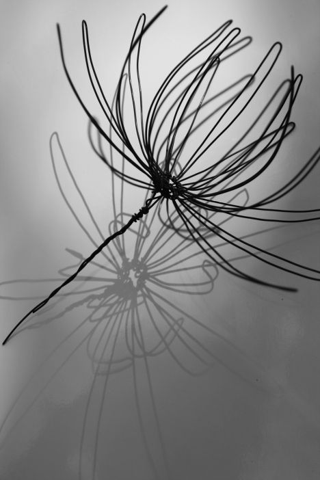 3D Wire Art, flower, made with mechanical wire and metal mesh, sprayed in black. | Teresa Leung 3d Wire Art, Art Fil, Wire Art Sculpture, Art Wire, Wire Flowers, Metal Art Welded, Metal Projects, Garden Art Sculptures, Wire Sculpture