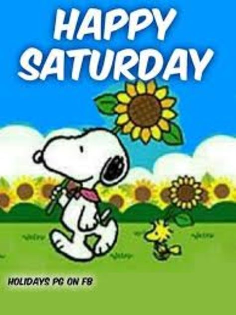 10 Best Good Morning Saturday Wishes / Greetings Hello September Images, Good Morning Saturday Wishes, Gifs Snoopy, September Pictures, Charlie Brown Y Snoopy, September Images, Hope Pictures, Welcome September, Woodstock Snoopy