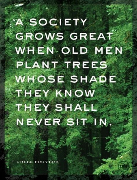 Plant the seeds for a tree whose shade you might never sit in Words Worth, We Are The World, Visual Statements, E Card, What’s Going On, Quotable Quotes, A Quote, Old Men, Great Quotes