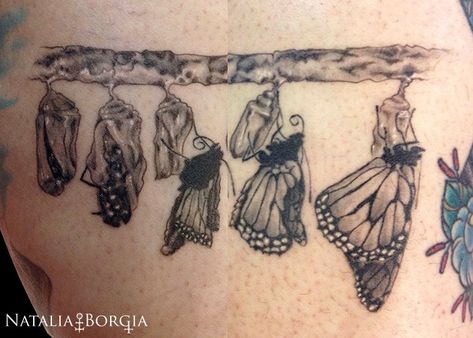 Butterfly Life Cycle Tattoo, Lifecycle Of A Butterfly, Beaver Tattoo, Butterfly Hatching, Fairy Tale Tattoo, A Butterfly Tattoo, Stages Of A Butterfly, Gray Butterfly, Girl Neck Tattoos