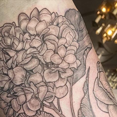 Maggie on Instagram: "Added hydrangea and camellias to this big sleeve in progress 😊 Thank you James!" Hydrangea Tattoo Sleeve, Hydrangea Tattoo, Big Sleeves, Tattoo Sleeve, Tattoo Inspo, Hydrangea, Sleeve Tattoos, Tatting, Body Art