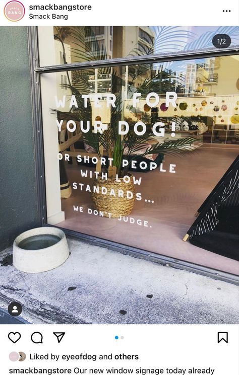 Dog Store Interior Design, Small Botique Interiors Ideas Dog, Dog Grooming Store Fronts, Dog Grooming Window Display, Dog Themed Coffee Shop, Pet Retail Store Design, Dog Bakery Interior Design, Dog Retail Store, Doggie Boutique Ideas