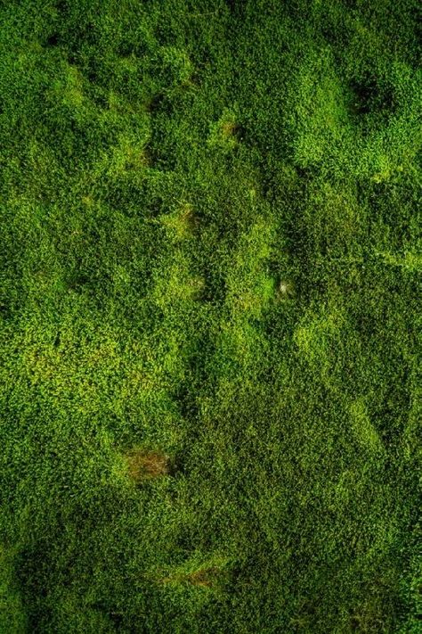 Moss Panels, Grass Texture Seamless, Grass Photoshop, Moss Texture, Grass Texture, Tree Textures, Forest Background, Black Phone Wallpaper, Landscape Plan