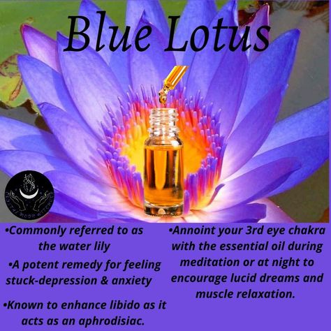 Blue Lotus Oil, Apothecary Business, Witches Wand, Lotus Oil, 3rd Eye Chakra, Witch Wand, Crystal Moon, Essential Oil Benefits, Blue Lotus