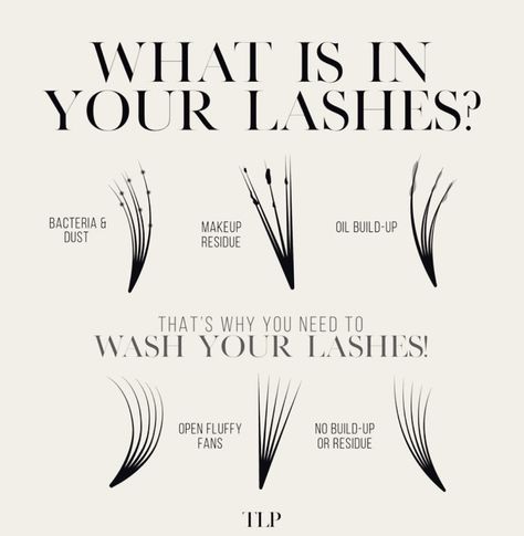 Your lash artist can literally tell what you’ve been up to by your lashes if you don’t wash them👀😂😂 The most common one I see is oil build up!!! ( if your lash fans start looking “wet” and clumped together even when they’re dry… you have an oil build up!! ) 😭 It’s easy to happen and you dont have to wear ANY makeup for this to happen- so here’s your lil reminder to wash those lashes regularly 🥰🥰 #customlashextensions #lashextensions #lashposts #lashquotes #lashbusinessowner #beautytips #... Wash Your Lashes, Lash Course, Lash Maps, Lash Fans, Lash Quotes, Lash Room, Salon Interior Design, Lash Artist, Lash Extensions