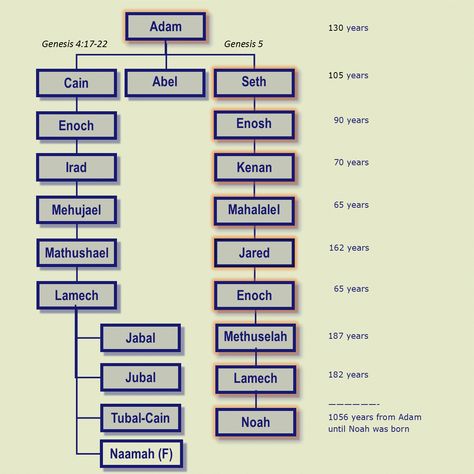 Tubal Cain, Adam And Eve, Bible Stories, Descendants, Family Tree, The Bible, Bible, Historical Figures