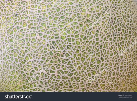 Skin of cantaloupe melon for texture and background. #Ad , #AFFILIATE, #cantaloupe#Skin#melon#background Melon, Textured Background, Animal Print Rug, Background Images, Royalty Free Stock Photos, Stock Images, Stock Photos, Texture, Skin