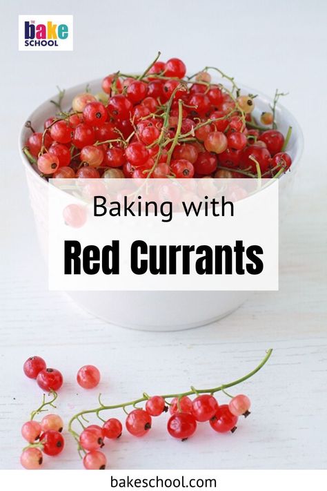 Here's everything you need to know about fresh currants, including red currants, white currants, and black currants, and a roundup of red currant recipes. Red Currents Recipes, Red Currant Recipes, White Fruitcake Recipe, Black Currant Cake, Red Currant Recipe, Red Currant Jam, Currant Cake, Currant Recipes, What To Bake