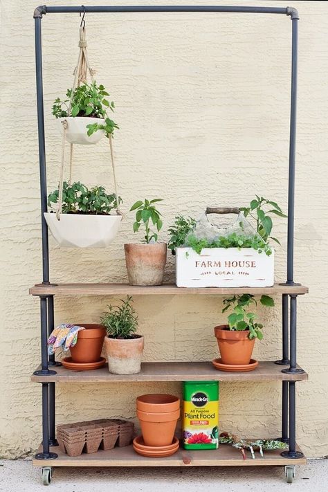 Hang Plants From Ceiling, Koti Diy, Outdoor Shelves, Framed Plants, Thrifty Diy, Diy Herb Garden, Modern Plant Stand, Garden Shelves, Vertical Herb Garden