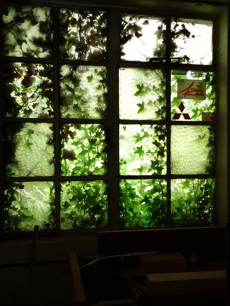 The light through ivy covering a window Barred Windows Aesthetic, Vines On Window, Covering A Window, Ivy Aesthetic, Cottagecore Ideas, Inktober 2024, Window Drawing, Bedroom Design Inspiration, Indoor Window