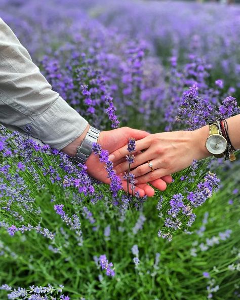 Lavender Fields Photography, Rainy Day Aesthetic, Long Fitted Dresses, Flower Photoshoot, Lavender Field, Cotton Maxi Dress, Flare Sleeve Dress, Fields Photography, Lavender Fields