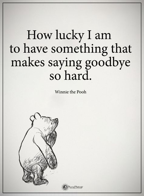 How lucky I am to have something that makes saying  goodbye so hard.  - Winnie the Pooh  #powerofpositivity #positivewords  #positivethinking #inspirationalquote #motivationalquotes #quotes #life #love #hope #faith #respect $lucky #goodbye #hard #winniethepooh Aa Milne Quotes, Frienship Quotes, New Home Quotes, Winnie The Pooh Drawing, Goodbye Quotes, How Lucky I Am, Hard To Say Goodbye, Winnie The Pooh Quotes, Pooh Quotes