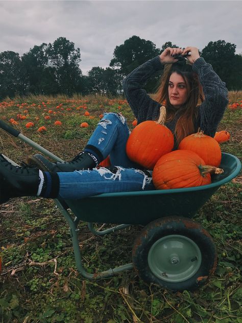 fall wheelbarrow photoshoot pumpkin patch ideas vsco tumblr aesthetic sweater weather Wheelbarrow Photoshoot, Pumpkin Patch Ideas, Pumpkin Patch Photoshoot, Pumpkin Field, Pumpkin Patch Pictures, Patch Ideas, Aesthetic Sweaters, Creative Poses, Tumblr Aesthetic