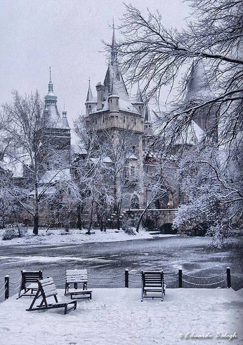 Vajdahunyad Castle, Large Building, Chateau France, Beautiful Castles, Budapest Hungary, Bratislava, Beautiful Buildings, Macedonia, Winter Scenes