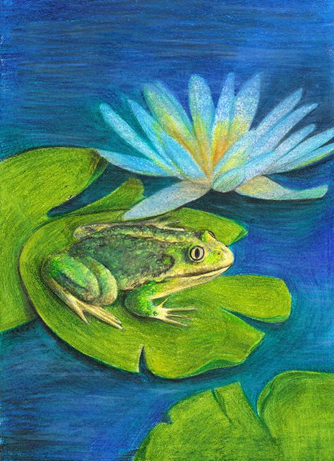 Frog In A Pond Drawing, Painting Frogs Ideas, Frog Pond Drawing, Paint 2023, Pond Drawing, Frog Coloring, Pop Art Marilyn, Pond Art, Rock Painting Flowers