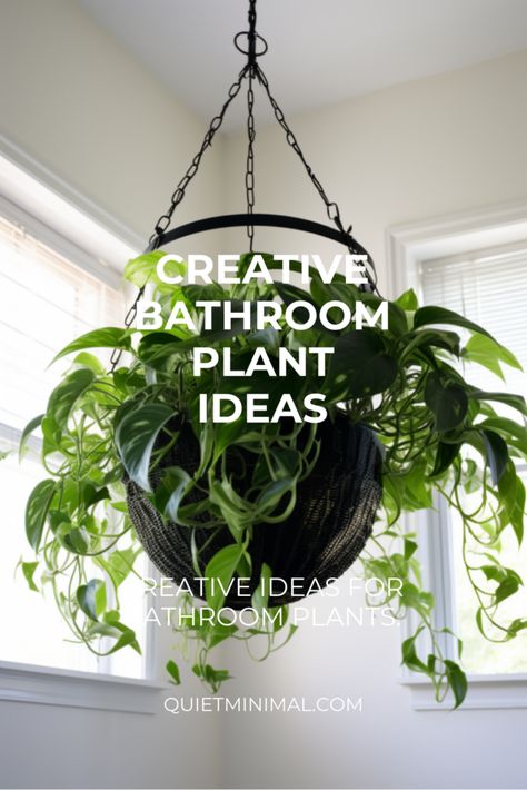 Go green with sustainable plant containers for your bathroom. Perfect for eco-friendly decor and greenery. #SustainableContainers #EcoFriendly #BathroomPlants #IndoorGreenery Hanging Plant In Bathroom Ideas, Plants In Shower Window, Fern In Bathroom, Hanging Plants In The Bathroom, Window Plant Ideas, Bathroom Greenery Decor, Plant Filled Bathroom, Plant Bathroom Ideas, Hanging Plant Bathroom