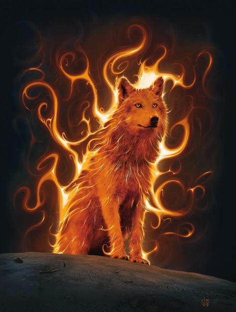 Fire Wolf Origin Of Halloween, Creature Fantasy, Arte Occulta, Fantasy Wolf, Wolf Wallpaper, Wolf Pictures, Beautiful Wolves, Wolf Spirit, Animale Rare