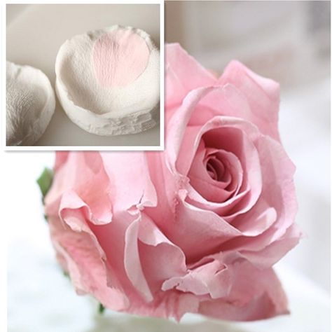 Diy 3d, Molding Clay, Flower Petal, Pink Brand, Silica Gel, Gum Paste, Cake Mold, Clay Pottery, Bath Products