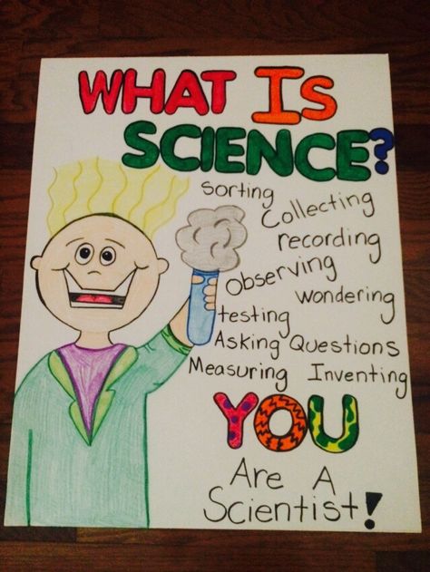 What is science? anchor chart What Is Science Anchor Chart, Science Charts For Classroom, Scientific Method Elementary, Pencil Sketch Tutorial, School Chalkboard Art, Scientific Art, Science Diagrams, Preschool Letter Crafts, Science Chart