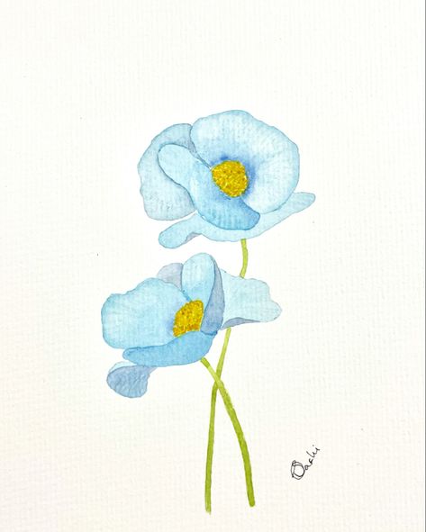 Himalayan blue poppies in watercolour Blue Poppies Watercolor, Himalayan Blue Poppy Tattoo, Himalayan Blue Poppy, Poppy Flower Drawing, Poppy Flower Tattoo, Elements Art, Blue Poppies, Poppy Drawing, Poppies Tattoo