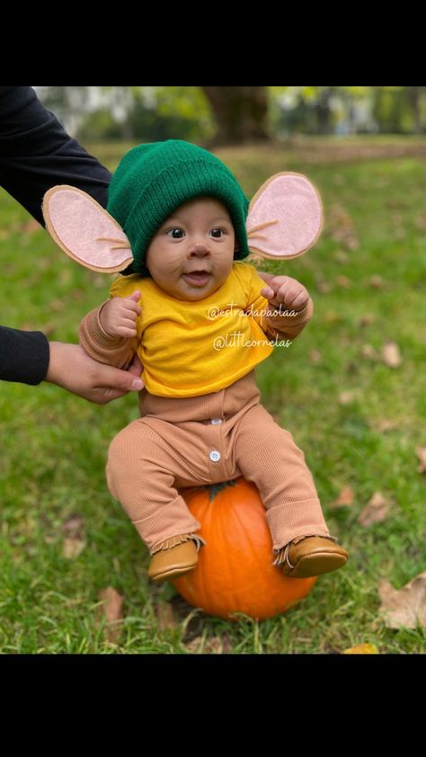 Cute adorable halloween baby costume gus gus cinderella homemade diy Baby Costumes For Boys Family, First Halloween Costumes Boy, 1st Halloween Costumes Boy, Gus Gus Cinderella, Gus Cinderella, Halloween Fantasia, Diy Fantasia, Family Themed Halloween Costumes, Diy Baby Costumes