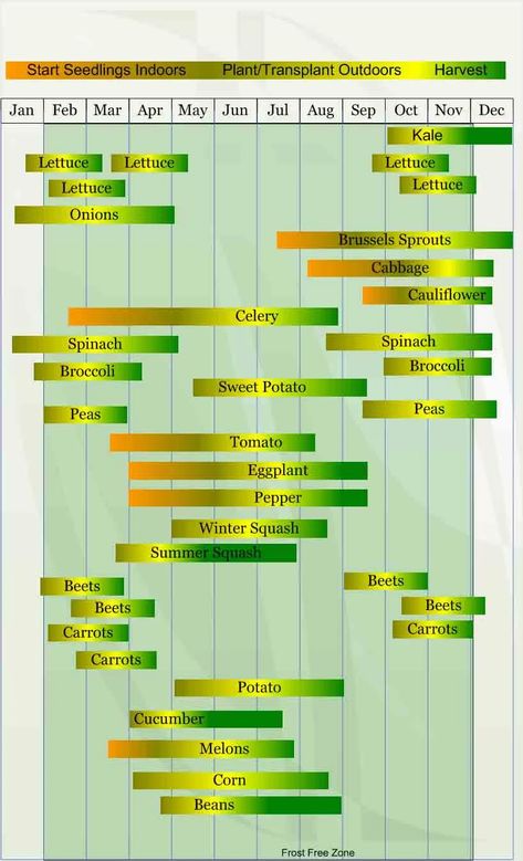 Vegetable Planting Calendar, Zone 9b, Vegetable Planting, Seedlings Indoors, Planting Calendar, Gardening Zones, Zone 9, Garden Calendar, Fall Garden Vegetables