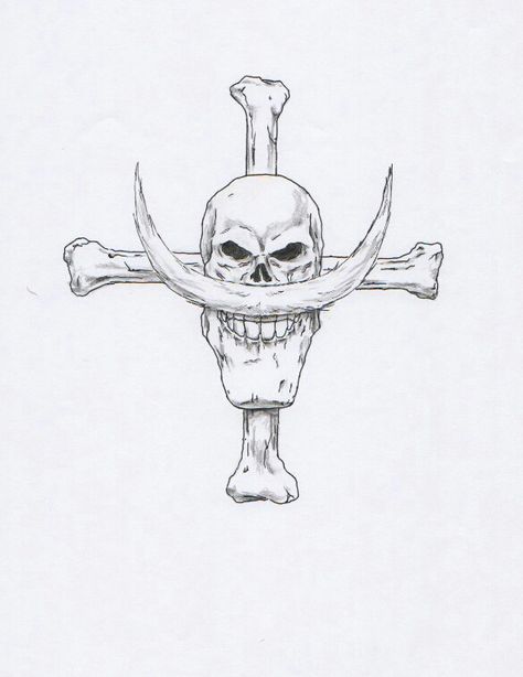 Was thinking of getting this realistic Whitebeard jolly roger on my back thoughts? drawing by u/anti-moniter One Piece Jolly Roger Tattoo, White Beard Tattoo, Whitebeard Tattoo, Whitebeard Jolly Roger, Mihawk Family, Jolly Roger Tattoo, Whitebeard One Piece, One Piece Jolly Roger, Styling Tees