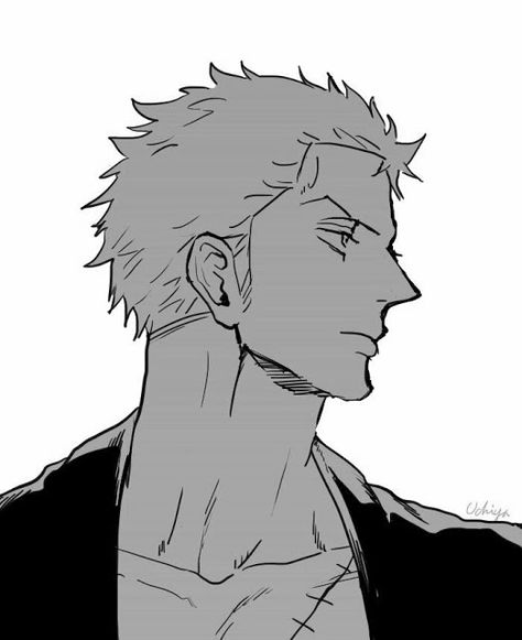 Zoro Zoro Side Profile Draw, Zoro Side Profile, Wan Pīsu, The Good Son, Profile Drawing, One Piece Funny, Zoro One Piece, Standing Poses, One Piece Drawing