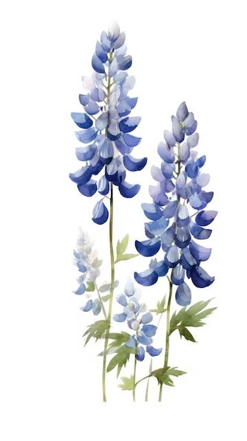 Premium AI Image | Deep Blue Lupine Cluster in Contemporary Watercolor Style on White Background Perfect for NatureThemed Designs Generative AI Watercolour Blue Flowers, Bluebonnet Background, Lupin Painting, Watercolor Lupine, Blue Lupine, Photo Deep, Blue Watercolor Art, Blue Watercolor Flowers, Farewell Card